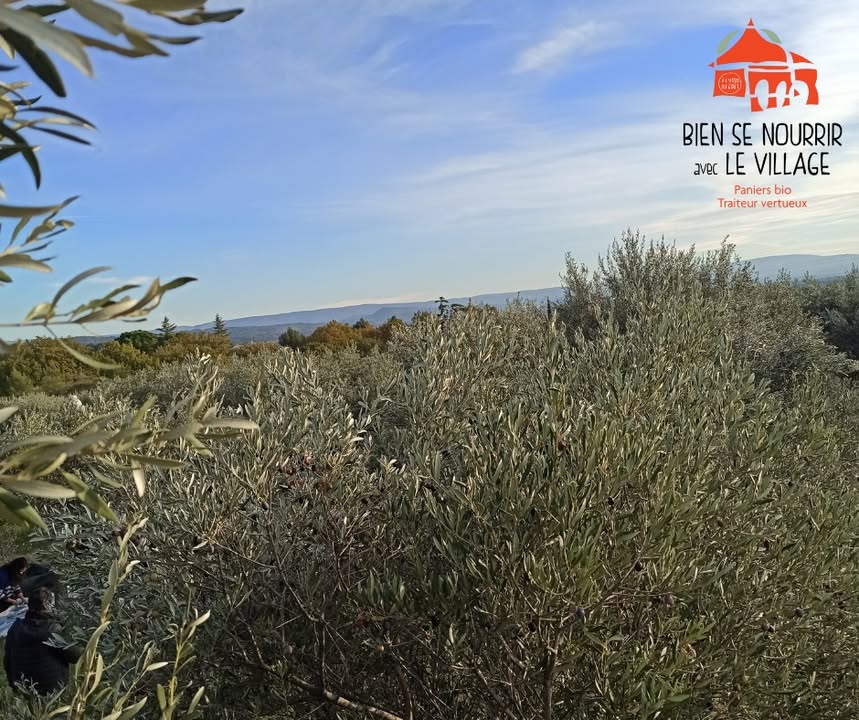 Bien se nourrir avec le village