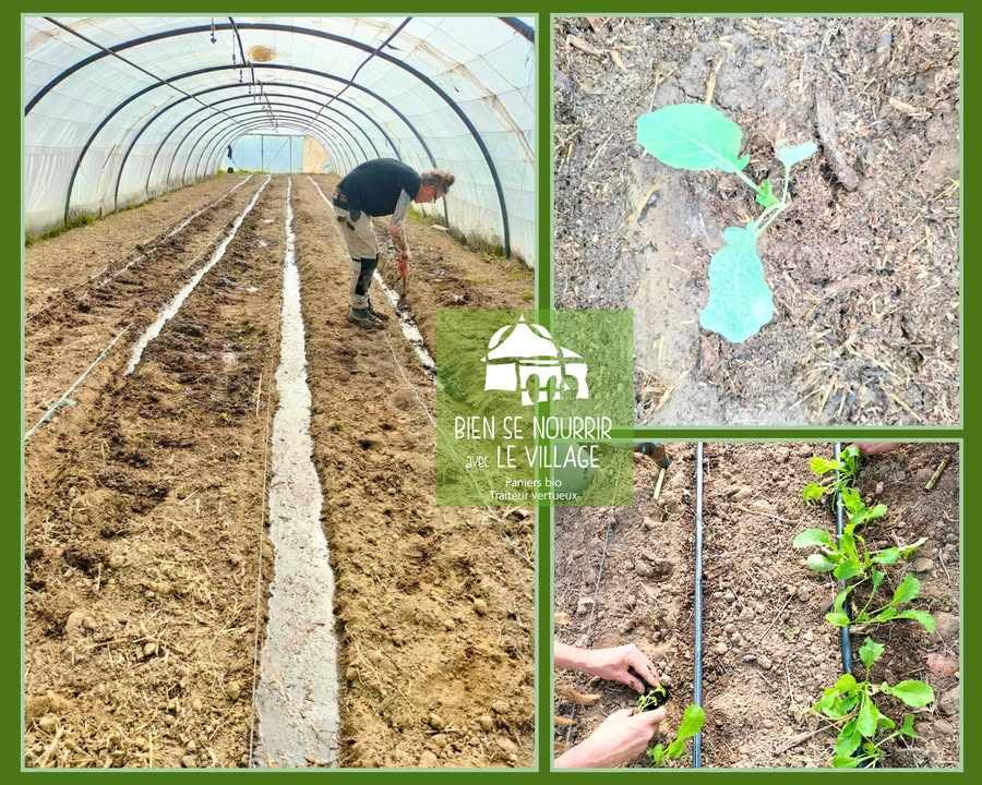 Bien se nourrir avec le village